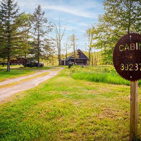 הינקלי Cozy Cabin With Hottub At Cloverdale Cabins מראה חיצוני תמונה